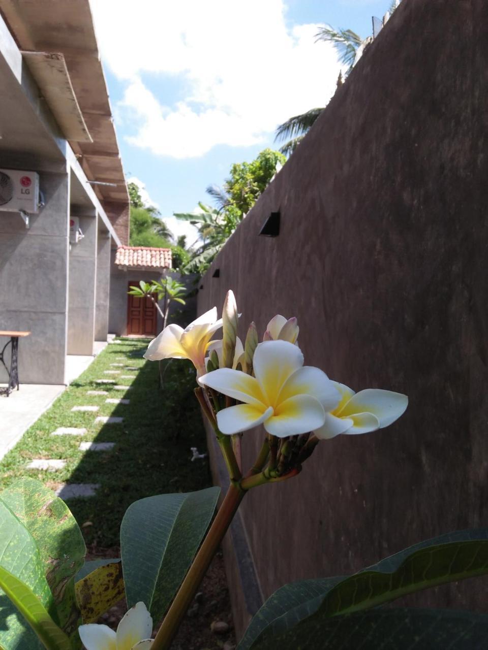 Hotel N 34 Mirissa Esterno foto